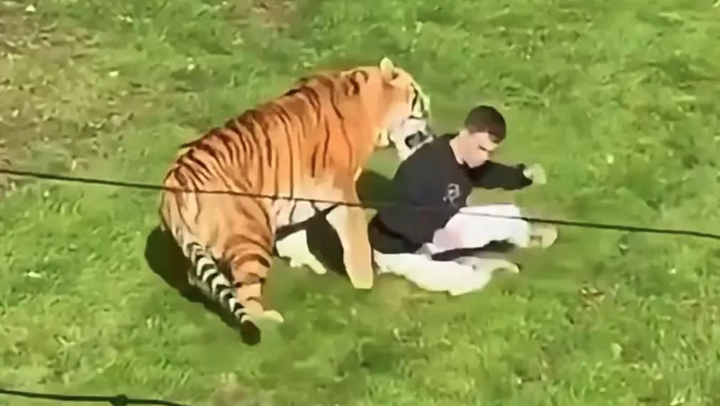La tragedia en el parque Yorkshire y la decisión acertada de no culpar al animal